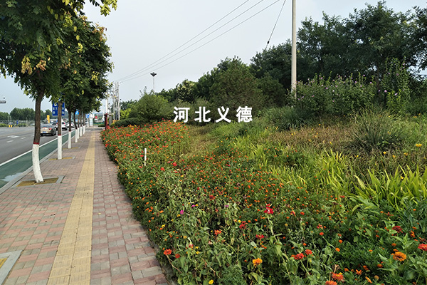 太平河西延綠化施工二標