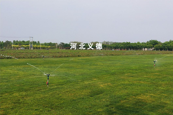 藥用植物綠化及花海項目設計施工